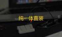 纯一体直装